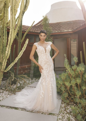 Cap Sleeves Ivory Lace Tulle Sexy Glitter Wedding Dress